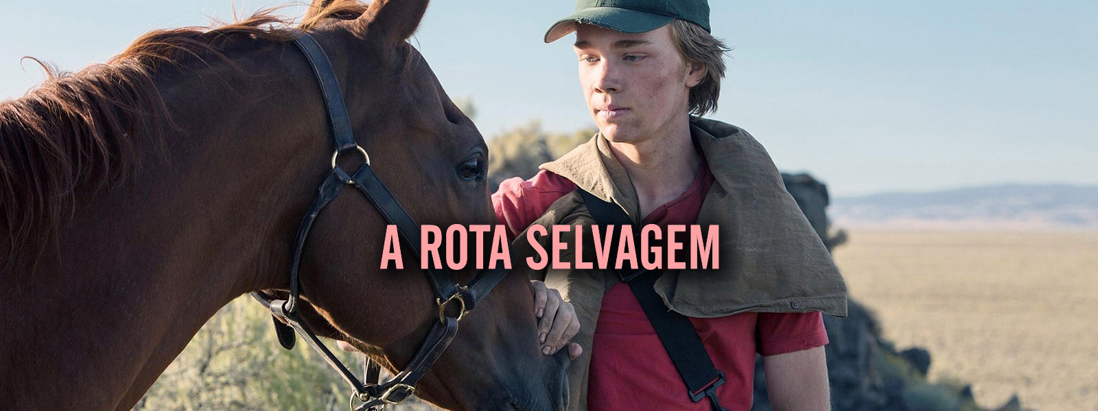 A Rota Selvagem