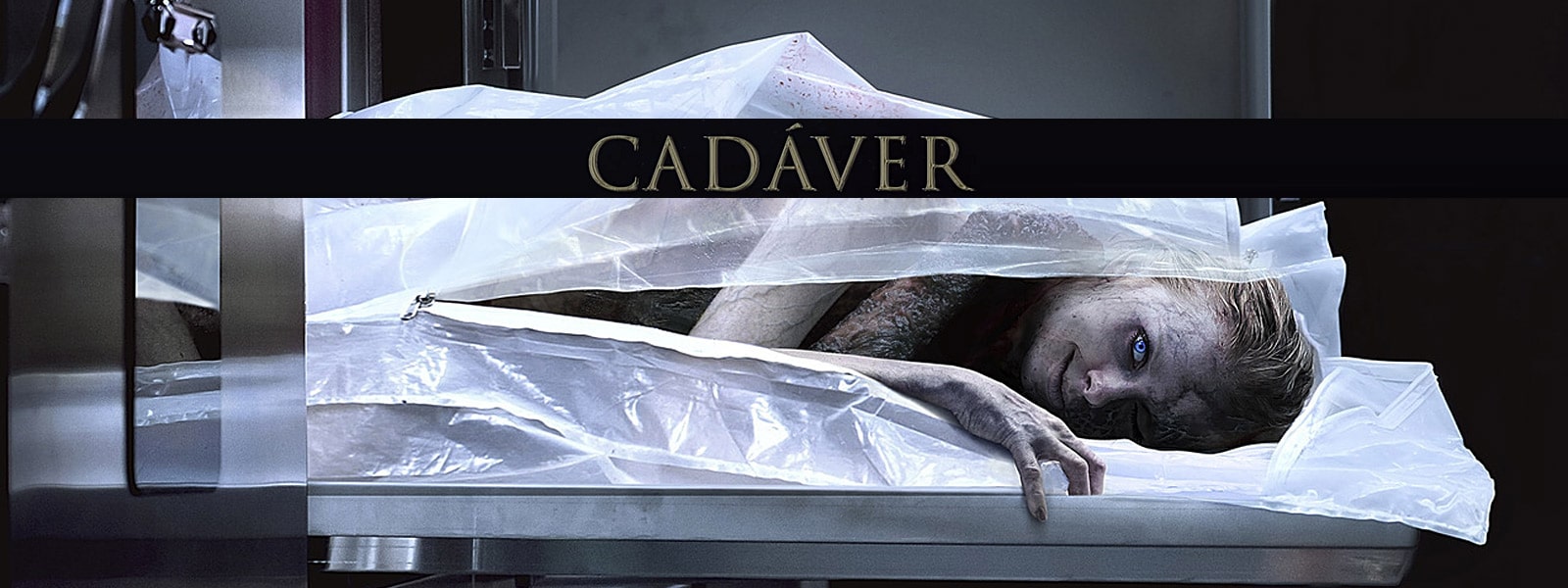 Cadáver