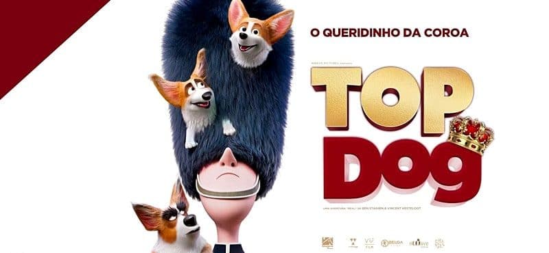 Corgi: Top Dog