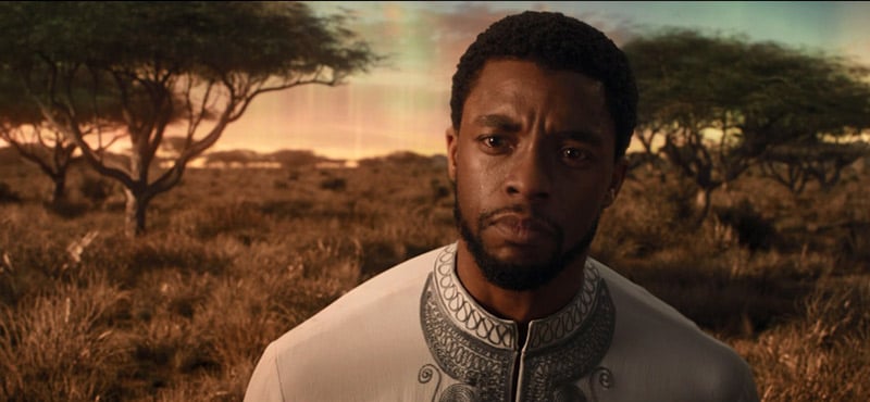 MORRE CHADWICK BOSEMAN O PANTERA NEGRA DA MARVEL NOS CINEMAS 